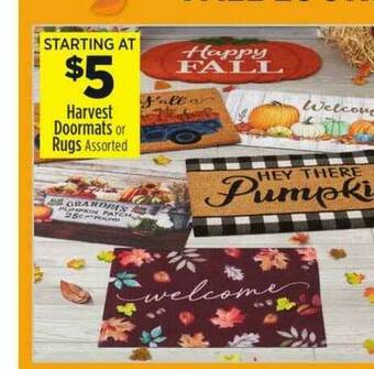 Dollar General Harvest Doormats Or Rugs offer