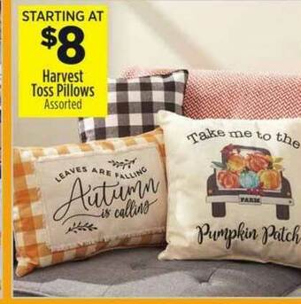 Dollar General Harvest Toss Pillows offer