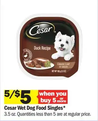 Meijer Cesar Wet Dog Food Singles offer