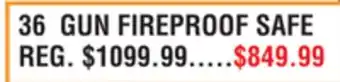 Dunham's Sports 36 GUN FIREPROOF SAFE offer
