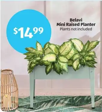 Aldi Belavi Mini Raised Planter offer
