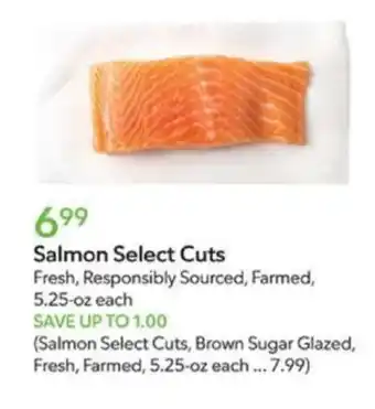 Publix Salmon Select Cuts offer