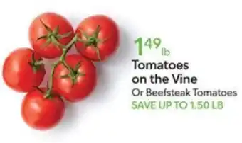 Publix Tomatoes on the Vine offer