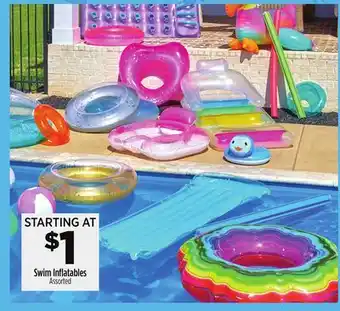 Dollar General Swim Inflatables offer
