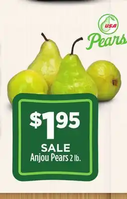 Dollar General Anjou Pears offer