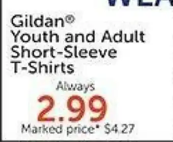 Hobby Lobby Gildan youth and adult short-sleeve t-shirts offer