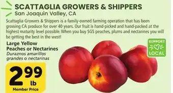 Albertsons Large Yellow Peaches or Nectarines offer