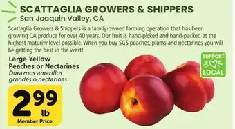 Vons Large Yellow Peaches or Nectarines offer