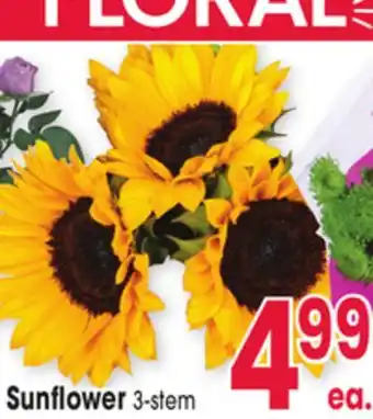 Jewel-Osco Sunflower offer