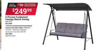 Ace Hardware 3-Person Cushioned Canopy Bench Swing offer