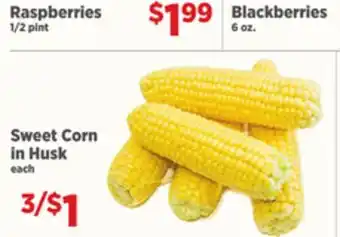Gordon Food Services Sweet Corn in Husk offer