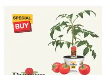 The Home Depot 6 Vegetables & Herbs offer