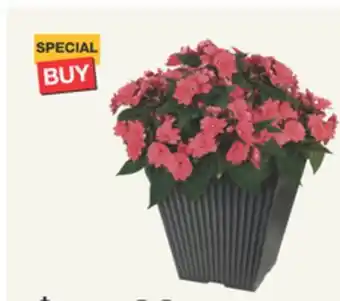 The Home Depot Select #10 Planter offer