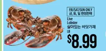 Hmart Live Lobster offer