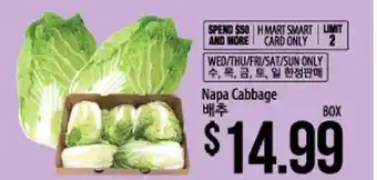 Napa Cabbage