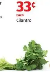 Aldi Cilantro offer