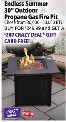 Ocean State Job Lot Endless Summer Fire Pits offer