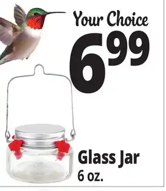 Ocean State Job Lot Glass Jar offer