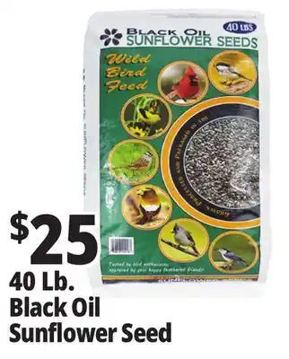 Ocean State Job Lot Black Oil Sunflower Seeds 40 lbs offer