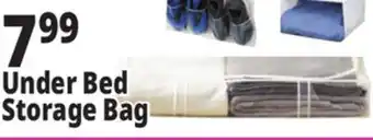 Ocean State Job Lot Nest Accents Clear PEVA Underbed Storage Bag 42 offer