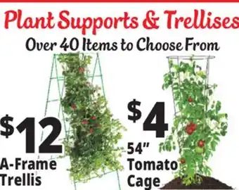 Ocean State Job Lot A-Frame Trellis offer