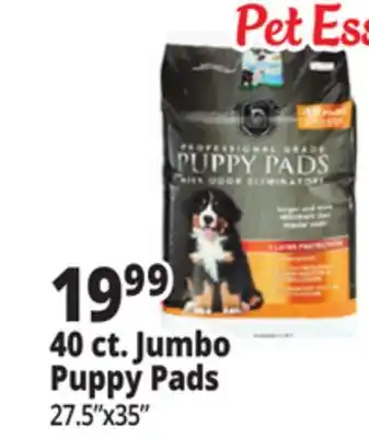 Ocean State Job Lot 40 ct. Jumbo Puppy Pads offer