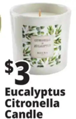 Ocean State Job Lot Eucalyptus Citronella Candle offer