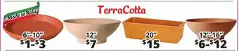 Ocean State Job Lot Terra Cotta offer