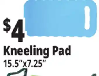 Ocean State Job Lot Kneeling Pad offer