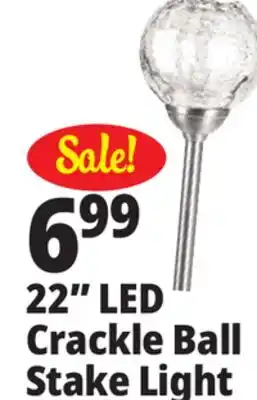 Ocean State Job Lot 22 LED Crackle Ball Stake Light offer