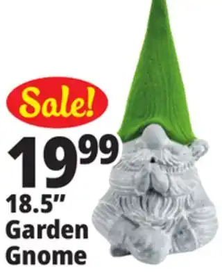 Ocean State Job Lot 18.5 Garden Gnome offer