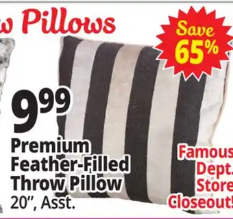 Ocean State Job Lot Premium Feather-Filled Throw Pillow offer