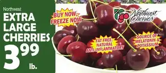 Bravo Supermarkets EXTRA LARGE LARGE CHERRIES offer