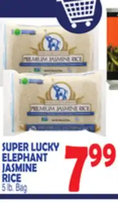 Bravo Supermarkets SUPER LUCKY ELEPHANT JASMINE RICE offer