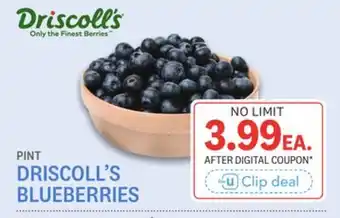 Kings Food Markets DRISCOLL'S BLUEBERRIES offer