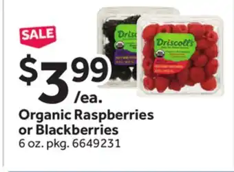 Stop&Shop Organic Raspberries or Blackberries offer