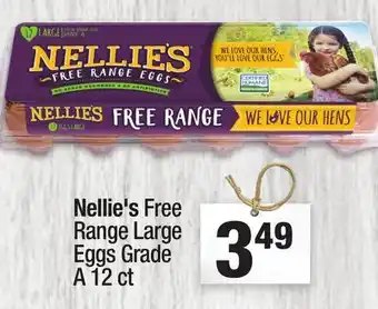 Nellie's Free Range Large Eggs Grade A