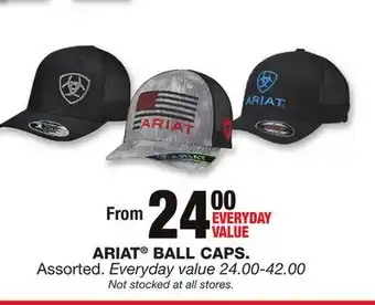 Blain's Farm & Fleet ARIAT BALL CAPS offer