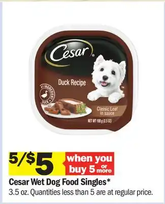 Meijer Cesar Wet Dog Food Singles offer