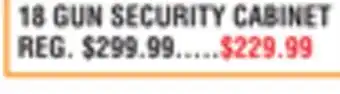 Dunham's Sports 18 GUN SECURITY CABINET offer