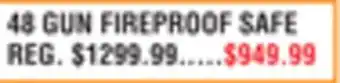 Dunham's Sports 48 GUN FIREPROOF SAFE offer