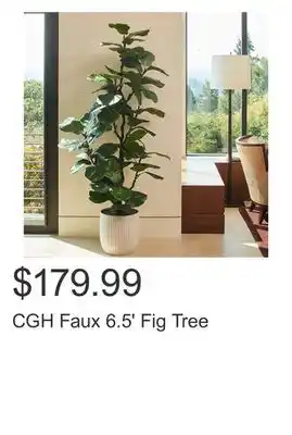 Costco CGH Faux 6.5' Fig Tree offer