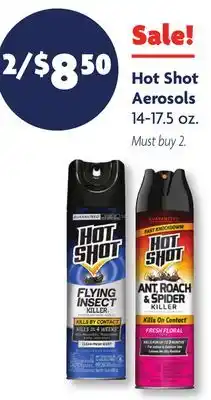 Family Dollar Hot Shot Aerosols offer