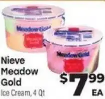 Nieve Meadow old