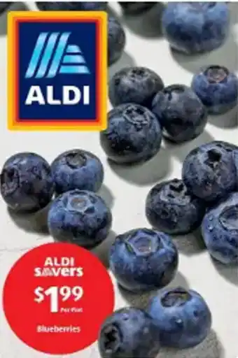Aldi Blueberries offer