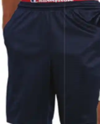 Big 5 Champion Men's Long Classic Mesh Shorts offer