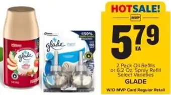 Food Lion 2 Pack Oil Refills or 6.2 Oz. Spray Refill Select Varieties offer