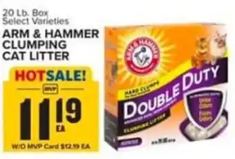 Food Lion ARM & HAMMER CLUMPING CAT LITTER offer