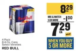 Food Lion RED BULL offer
