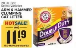 Food Lion ARM & HAMMER CLUMPING CAT LITTER offer